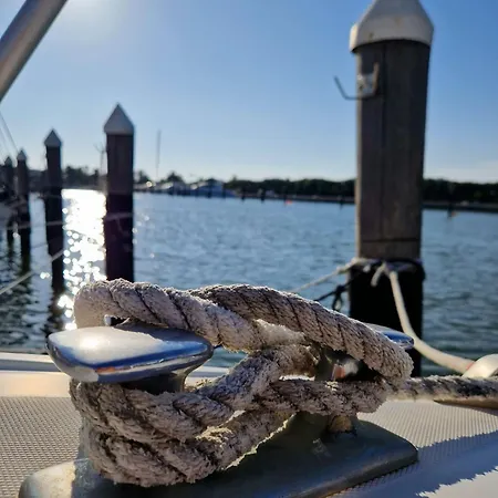 Scoglietto Fiumicino, Aperitivo E Colazione Incluse - Bici Comprese Nel Prezzo- Barca A Motore フィウミチーノ