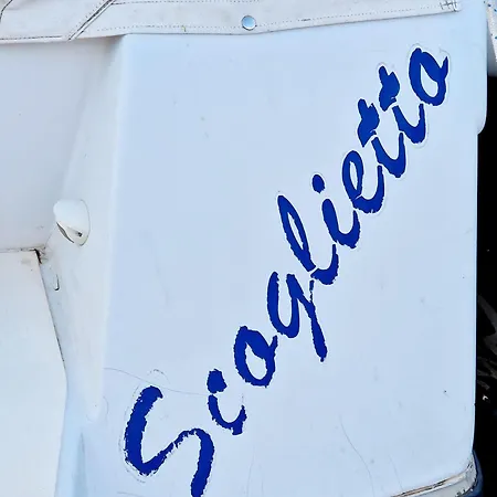 Scoglietto Fiumicino, Aperitivo E Colazione Incluse - Bici Comprese Nel Prezzo- Barca A Motore * Fiumicino
